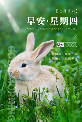 ☂客家甜心金牌代理☂的图片