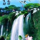 平安福49海报