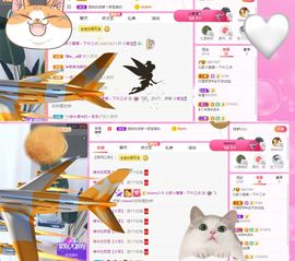 小黄黄黄黄黄.主播照片