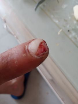 侠客————梦主播照片