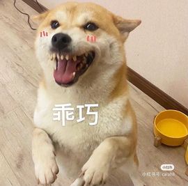 小黄黄黄黄黄.主播照片