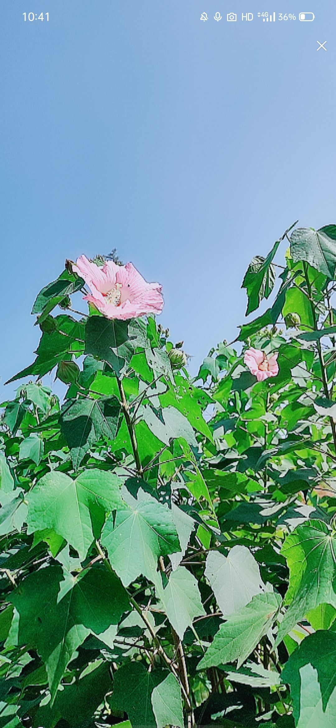 婷婷💕感恩有你陪伴的图片