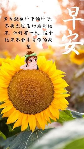 沁馨ღ求百元榜主播照片
