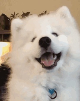 bye～主播照片
