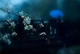 现实✔差距主播照片