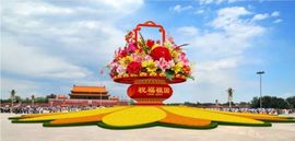 超持久“桑拿天”来了主播照片