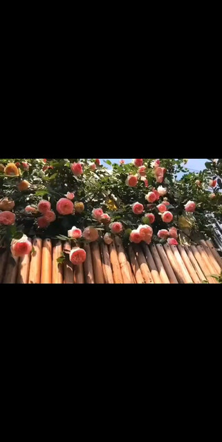 休息一天
