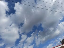 zhou🌵的图片