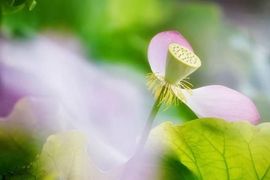 现实✔差距主播照片