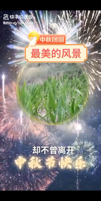 中秋节快乐