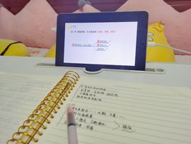 阳阳💕休主播照片