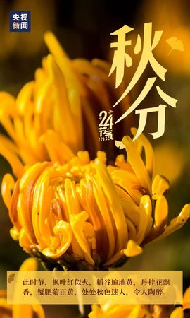 September★主播照片
