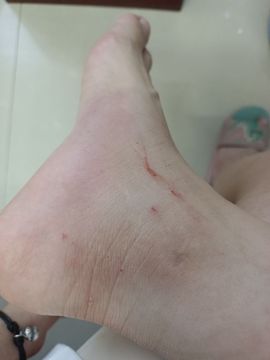 👑䒕暖宝好运旺旺旺主播照片