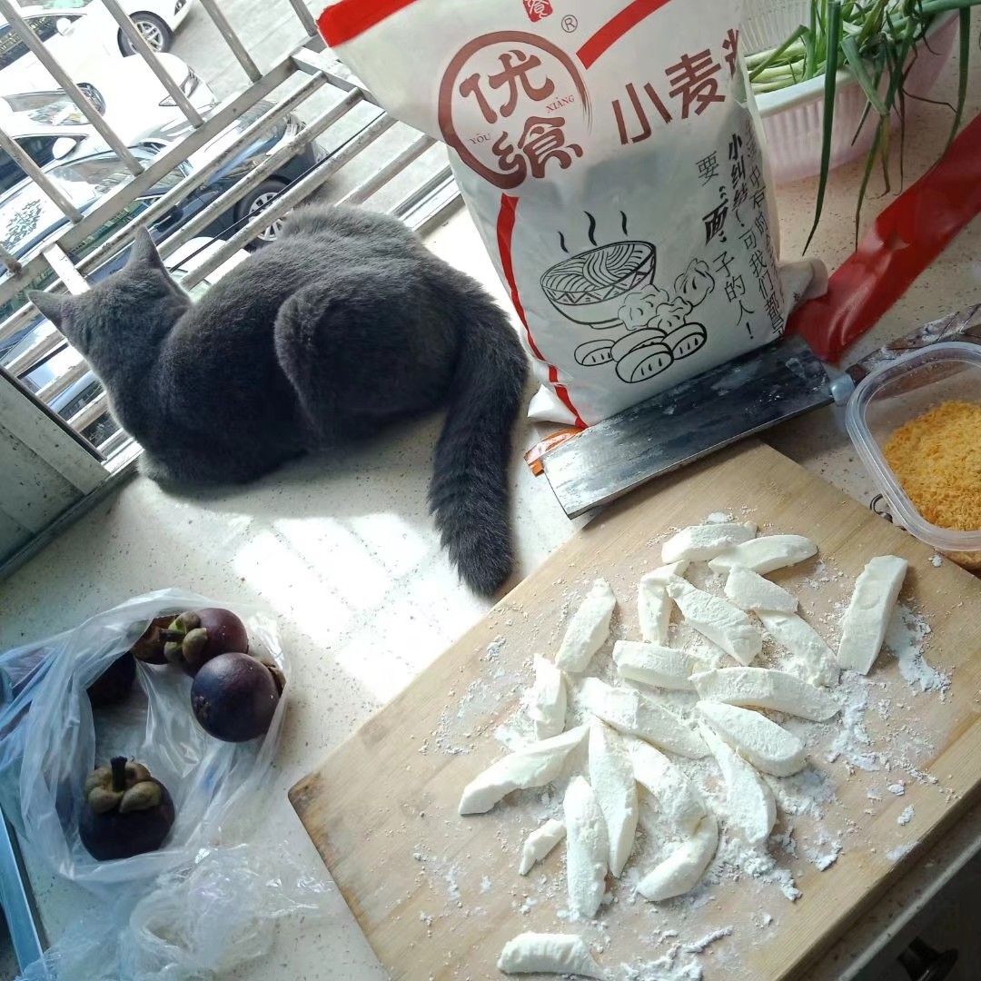 萌新多多求升级的图片