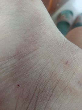 👑䒕暖宝好运旺旺旺主播照片