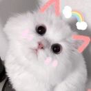 肥晨又胖了丶🖤