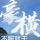 豪横的人海报