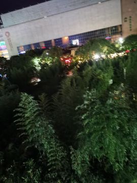 遇见❥暂休主播照片