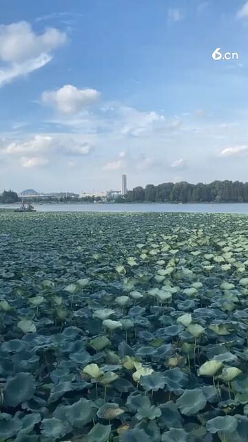 国庆了，探长哥哥。