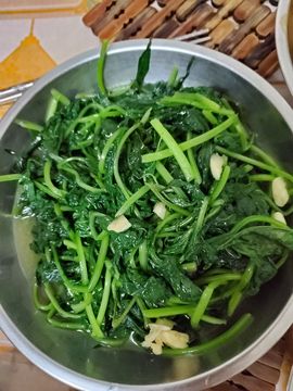 凱晴6726主播照片