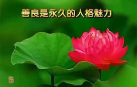 დ释怀დ主播照片