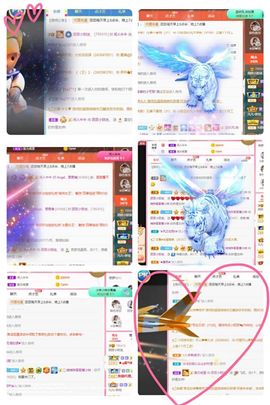 团团6595的图片