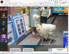 保利哥主播照片