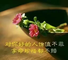 დ释怀დ主播照片