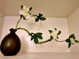 素雅依依暂休主播照片