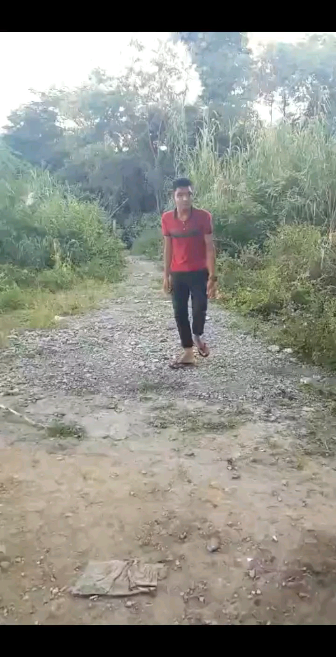 小黑只是小黑