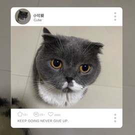 我是隐身娃主播照片