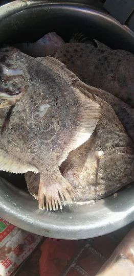 吃货🐽猪猪^O^主播照片