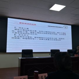 ▄︻┻┳━•主播照片