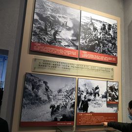 ▄︻┻┳━•主播照片