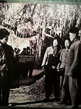 ▄︻┻┳━•主播照片