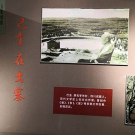 ▄︻┻┳━•主播照片