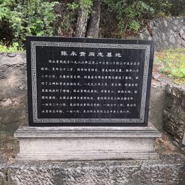 ▄︻┻┳━•主播照片