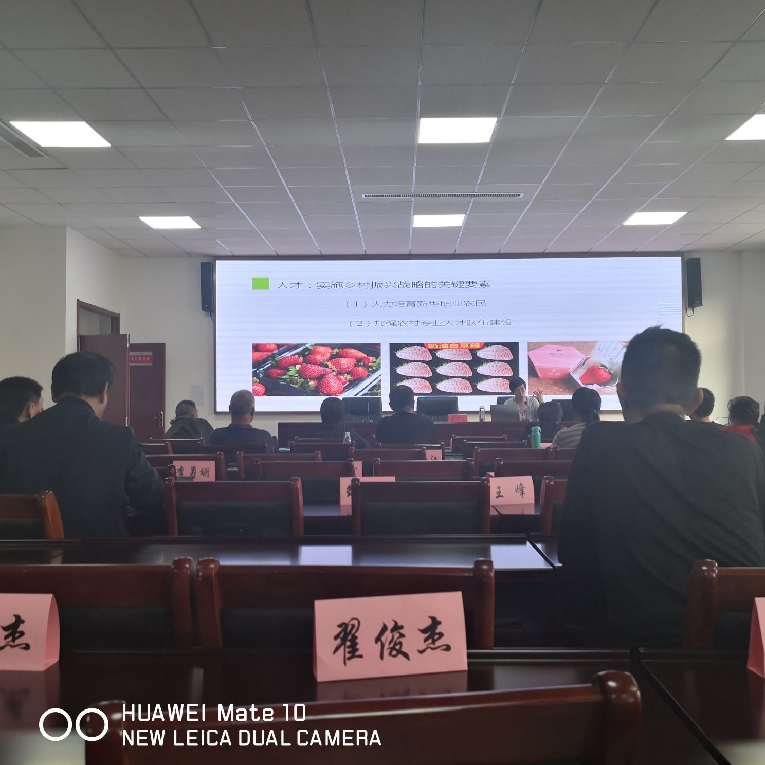 ▄︻┻┳━•的图片