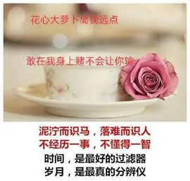 龙菲菲越来越好主播照片