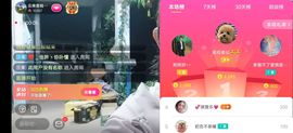 云南壹姐主播照片