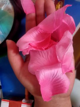 活宝黑妮主播照片