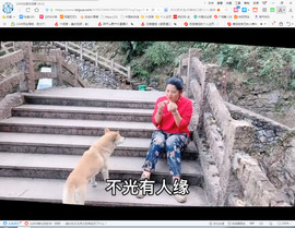 保利哥主播照片