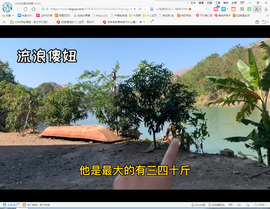 保利哥主播照片