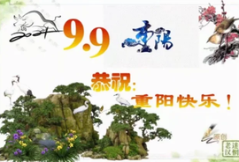 დ释怀დ主播照片