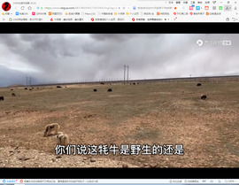 保利哥主播照片