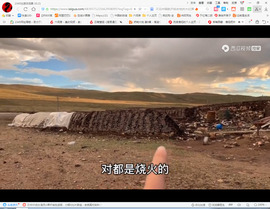 保利哥主播照片
