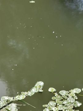 🌾主任→か弎哥✨主播照片