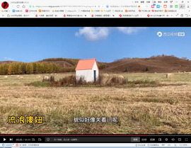 保利哥主播照片