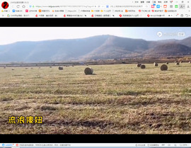 保利哥主播照片