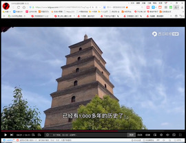 保利哥主播照片